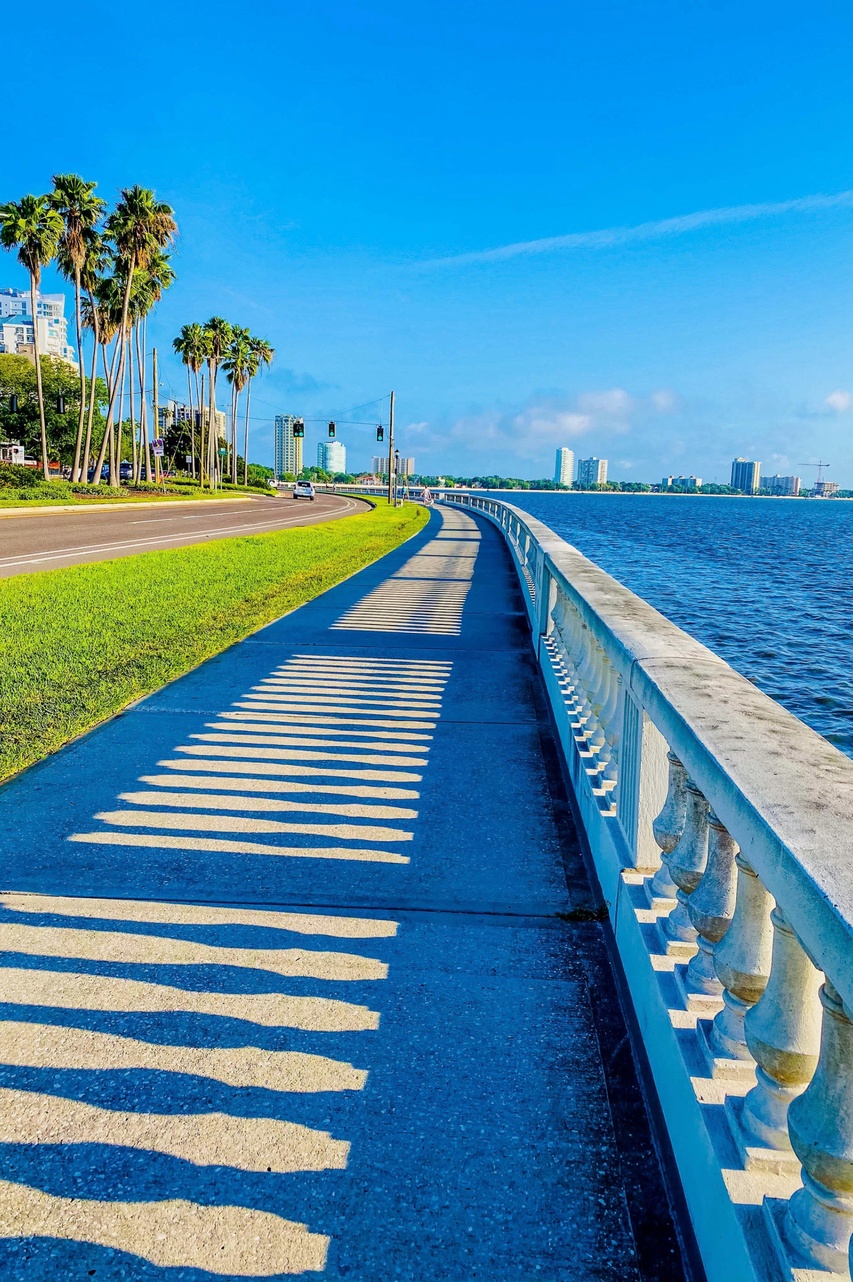 Bayshore Tampa, FL